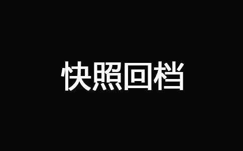 網(wǎng)站快照回檔該如何處理？