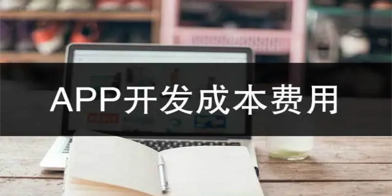 如何有效控制APP開發的成本