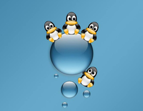 Linux中如何使用echo命令輸出指定文本字符串？